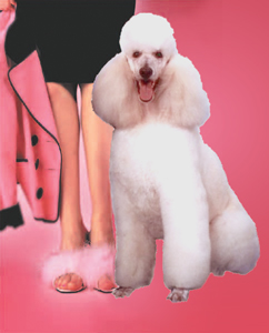 TiffanysLogo.jpg